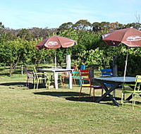 Cerise Brook Orchard  Family Golf - Accommodation QLD