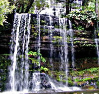 Mt Field National Park - Accommodation QLD