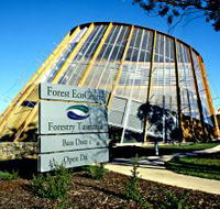 Forest EcoCentre - Accommodation QLD