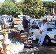 Don Village Market - Accommodation QLD