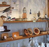 Touchwood Craft Gallery Gifts and Cafe - Accommodation QLD