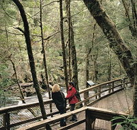 Franklin River Nature Trail - Accommodation QLD