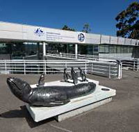 Australia's Antarctic Headquarters - Accommodation QLD