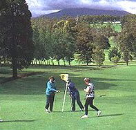 Deloraine Golf Course - Accommodation QLD