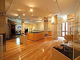 Tasmanian Tiger Exhibition - Accommodation QLD 0