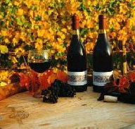 Craigow Vineyard - Accommodation QLD