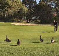 Royal Hobart Golf Club - Accommodation QLD