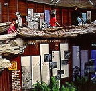 West Coast Visitor Information and Booking Centre - Accommodation QLD