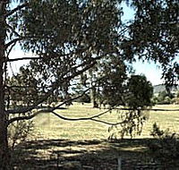 Cygnet Public Golf Course - Accommodation QLD