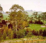 The Tasmanian Arboretum - Accommodation QLD