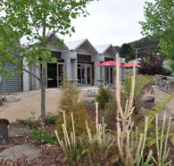 Tin Dragon Interpretation Centre and Cafe - Accommodation QLD