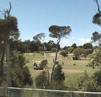 Greens Beach Golf Course - Accommodation QLD