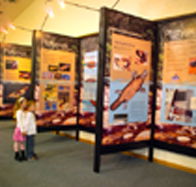 Platypus Experience - Accommodation QLD