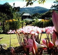 Blueberry Cottage Open Gardens - Accommodation QLD