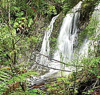 Hogarth Falls - Accommodation QLD