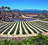 Kate's Berry Farm - Accommodation QLD