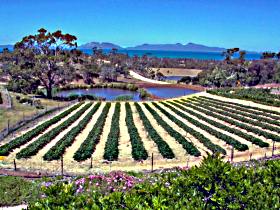 Kate's Berry Farm - Accommodation QLD 0