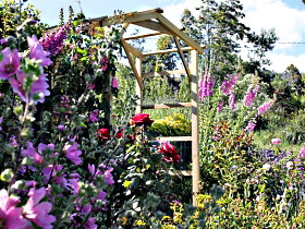 Thelma Retreat Garden And Teahouse - Accommodation QLD 0