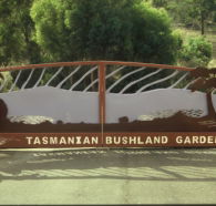 Tasmanian Bushland Garden - Accommodation QLD