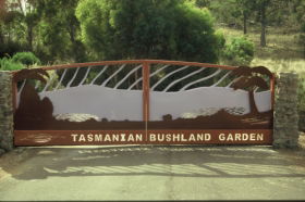 Tasmanian Bushland Garden - Accommodation QLD 0