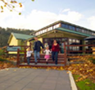 Australian Axeman's Hall of Fame - Accommodation QLD