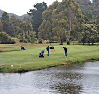 Penguin Golf Course - Accommodation QLD