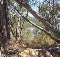 Black Mountain - Accommodation QLD