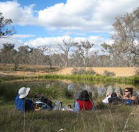 Canberra Nature Park - Accommodation QLD
