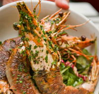 Bicicletta - Accommodation QLD