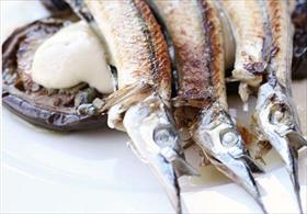 Canberra City ACT Accommodation QLD