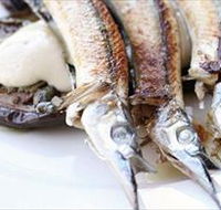 Pulp Kitchen - Accommodation QLD