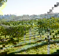 Surveyor's Hill Vineyards - Accommodation QLD