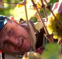 Puddleduck Vineyard - Accommodation QLD