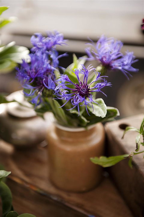 Salamanca Market - Accommodation QLD 1