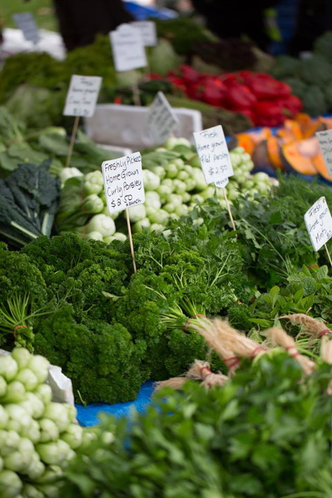 Salamanca Market - Accommodation QLD 5