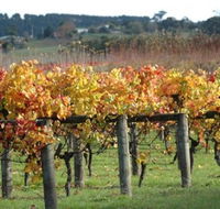 Apsley Gorge Vineyard - Accommodation QLD