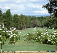 RMC Golf Club - Accommodation QLD