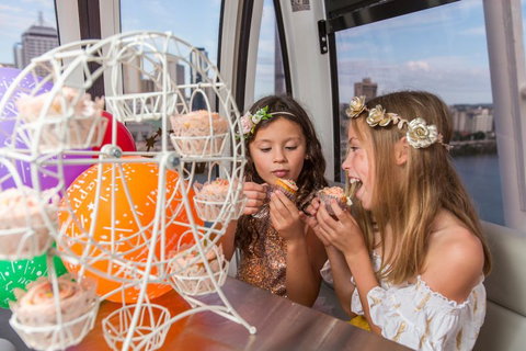 The Wheel Of Brisbane - Accommodation QLD 2