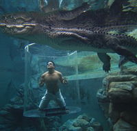 Crocosaurus Cove - Accommodation QLD
