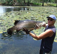 Barra Feeding - Accommodation QLD