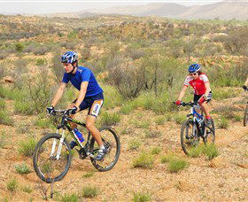 Araluen Mountain Bike Trails - Accommodation QLD 0