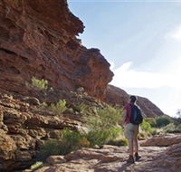 Giles Track - Accommodation QLD