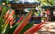 Nightcliff Markets - thumb 0