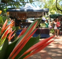Nightcliff Markets - Accommodation QLD