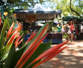 Nightcliff Markets - Accommodation QLD 0