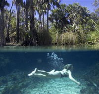 Bitter Springs - Accommodation QLD