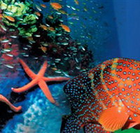 Indo Pacific Marine - Accommodation QLD
