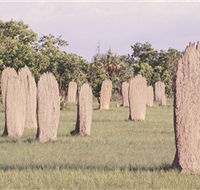 Magnetic Termite Mounds - Accommodation QLD