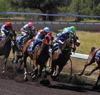 Alice Springs Turf Club - Accommodation QLD