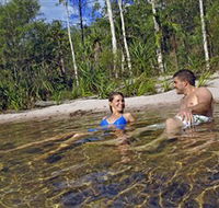 Tjaynera/Sandy Creek Falls - Accommodation QLD